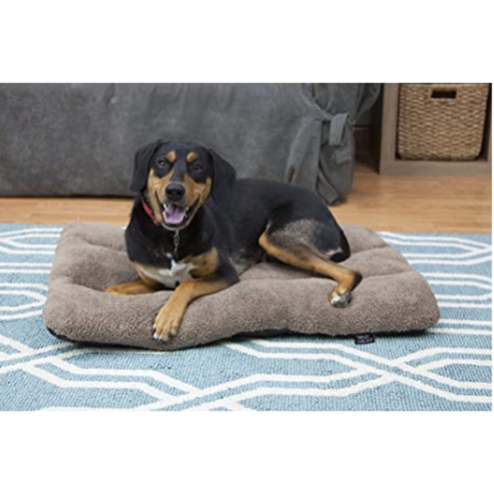 NEW! Sport Pet Waterproof Pet Bed - Picture 1 of 6